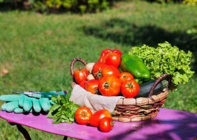 Healthy Eaters, Strong Minds: What School Gardens Teach Kids