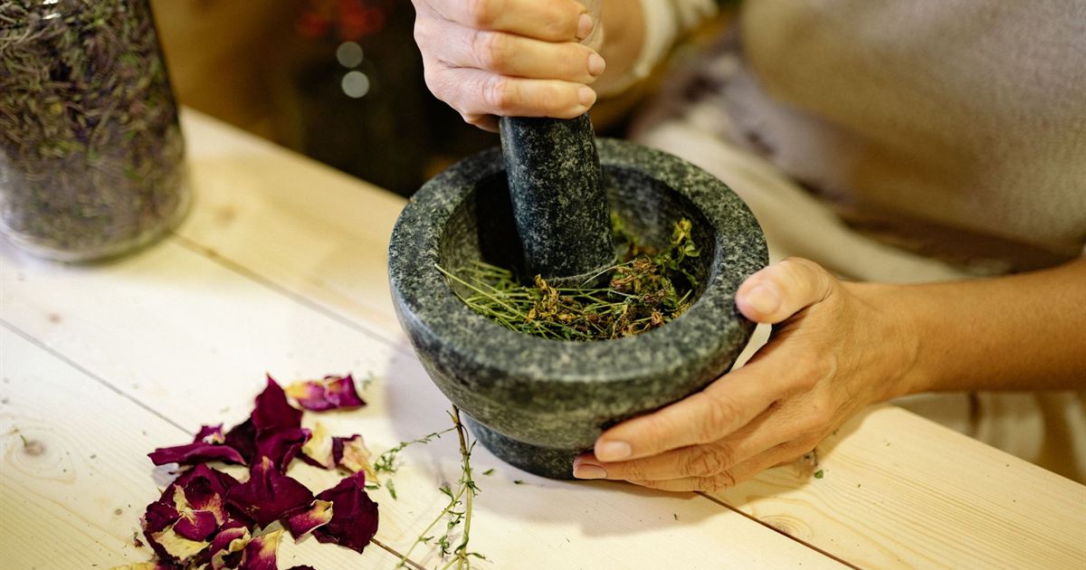 Strongest Antiviral Herb: An Honest, Research-Backed Answer